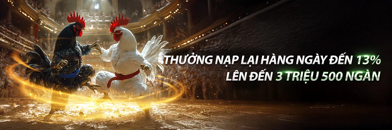 Hình ảnh chính về đăng ký 88xx Đá Gà